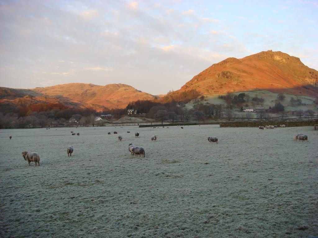 Raise View House Bed & Breakfast Grasmere Exterior foto